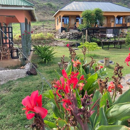Lake Natron Maasai Guesthouse Mtowabaga Exteriér fotografie
