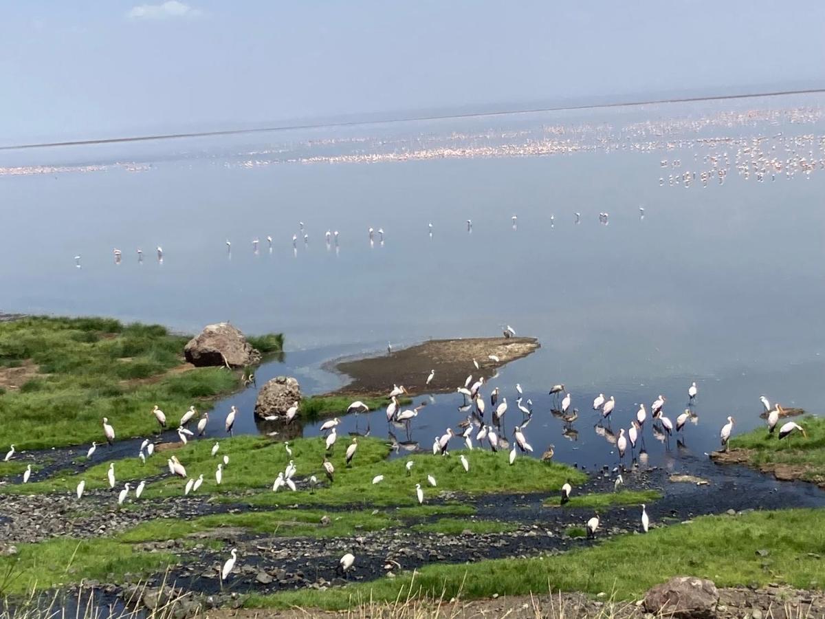 Lake Natron Maasai Guesthouse Mtowabaga Exteriér fotografie