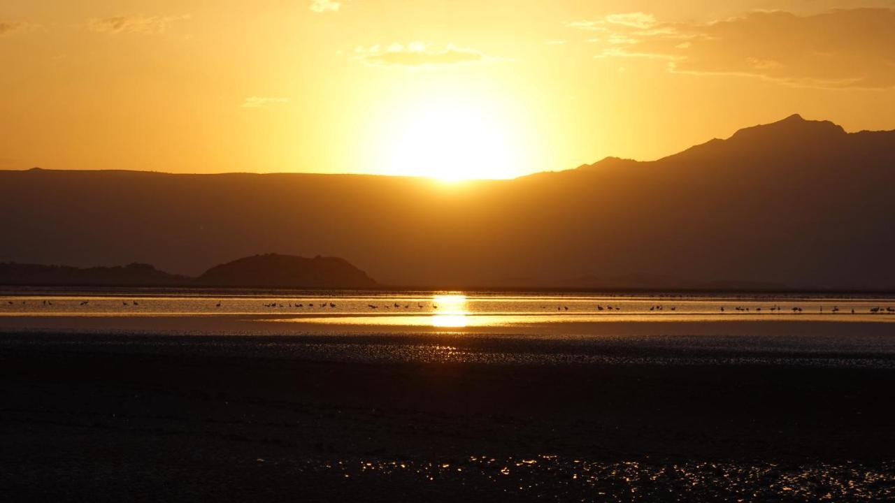 Lake Natron Maasai Guesthouse Mtowabaga Exteriér fotografie